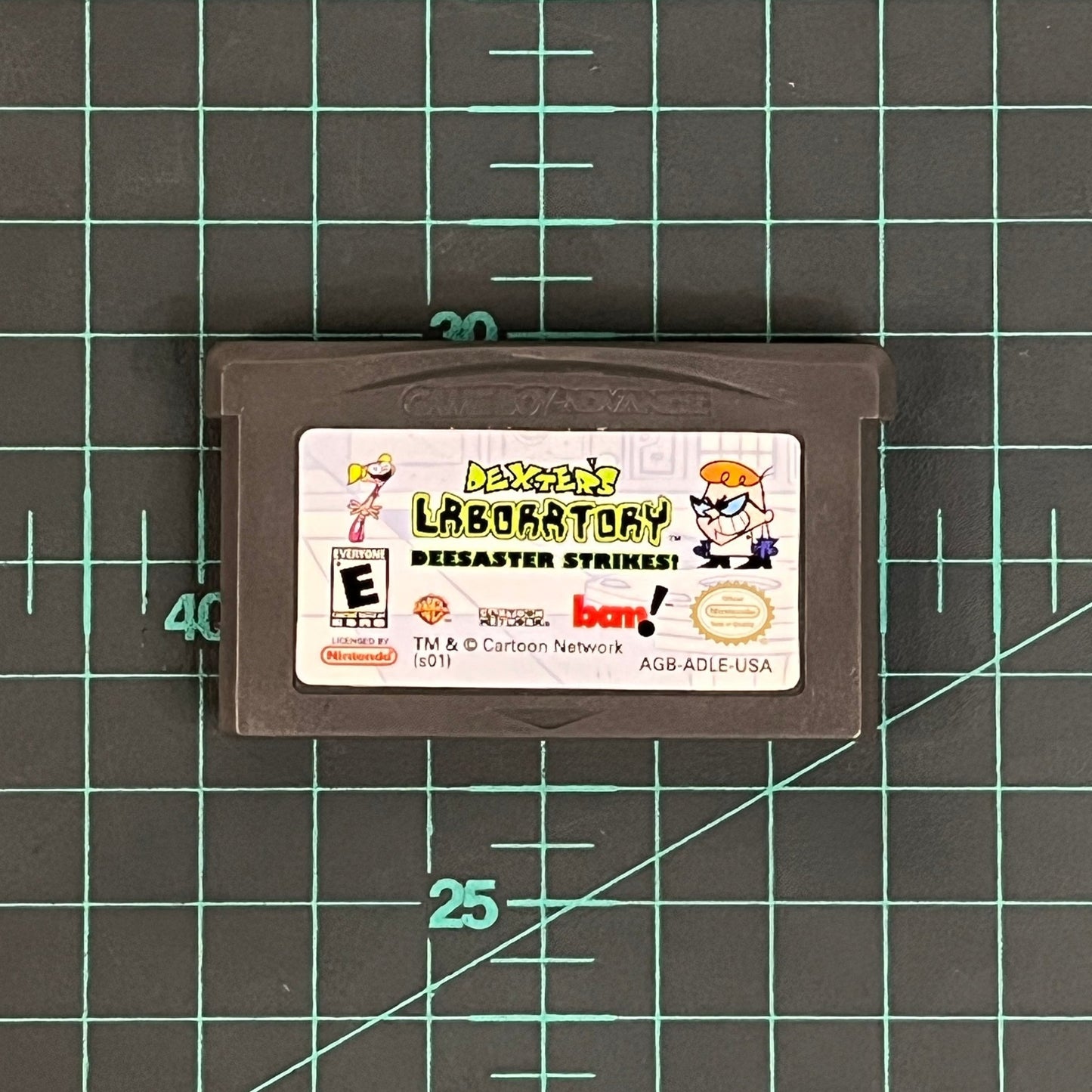 Dexter's Laboratory Deesaster Strikes | Nintendo Gameboy Advance | Game Boy Advance - RetroguySA