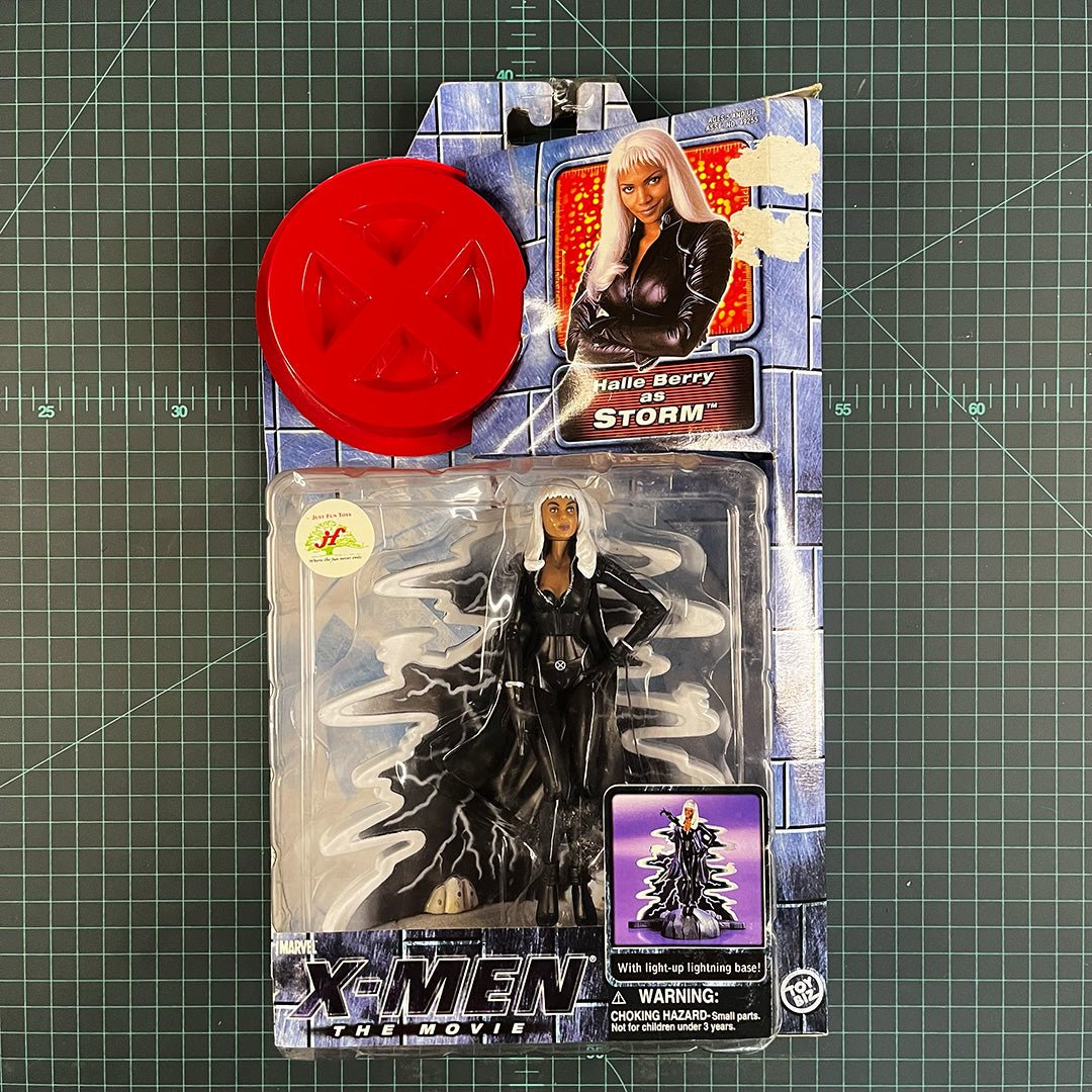 Storm | X - Men: The Movie | 2000 | Toy Biz | Figurine | Collectible | Toy | New Sealed - RetroguySA