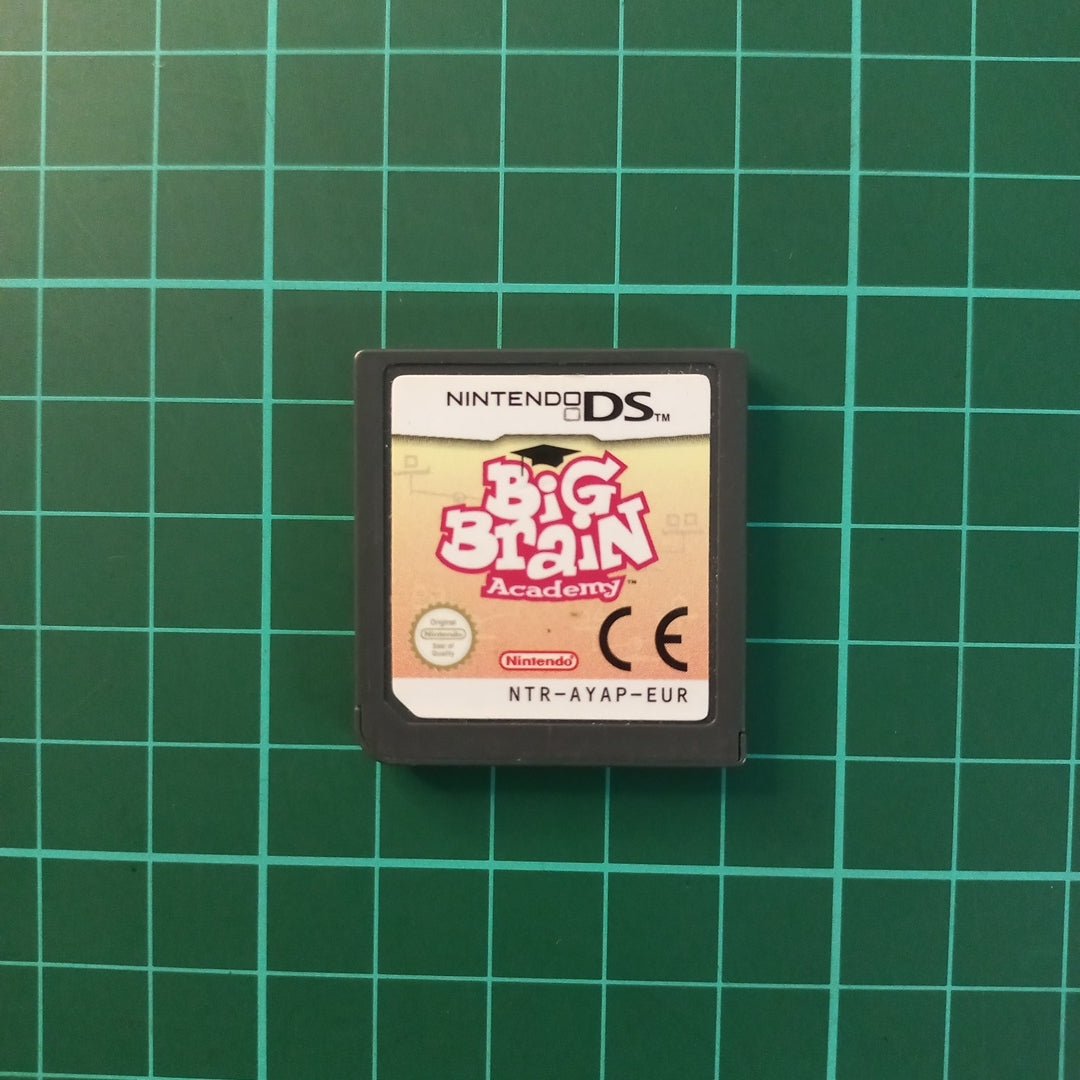 Big Brian Academy | DS | Nintendo DS | Used Game - RetroguySA